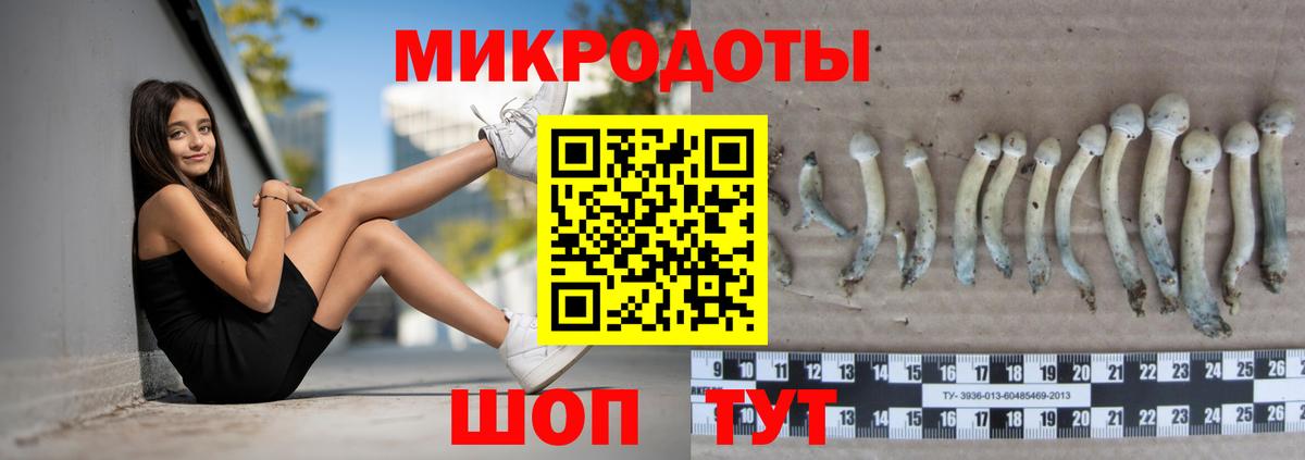 Галлюциногенные грибы прущие грибы Верхний Уфалей